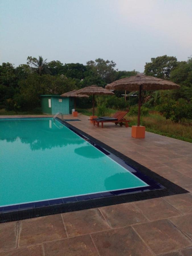 Sigiriya Peacock Homestay Exterior photo